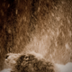 Image for article titled Motion Gallery 2